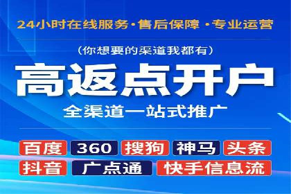 SEM推广实战：成功案例剖析